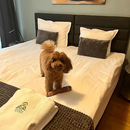 Local Hotel, Bw Signature Collection Aparthotel Bansko