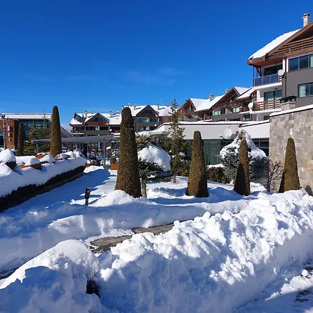 Local Hotel, Bw Signature Collection 3*