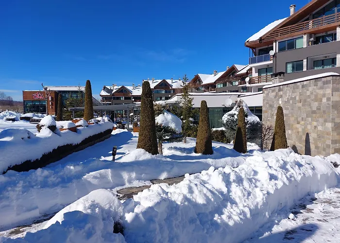 Local Hotel, Bw Signature Collection 3*